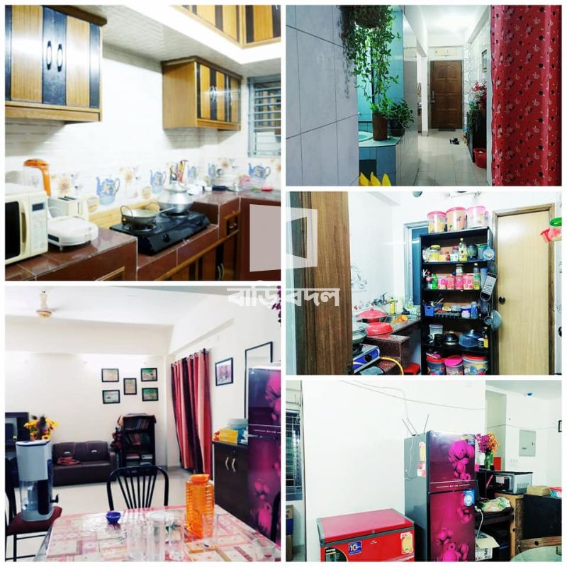 Seat rent in Dhaka শ্যামলী, Dream House BD শ্যামলী