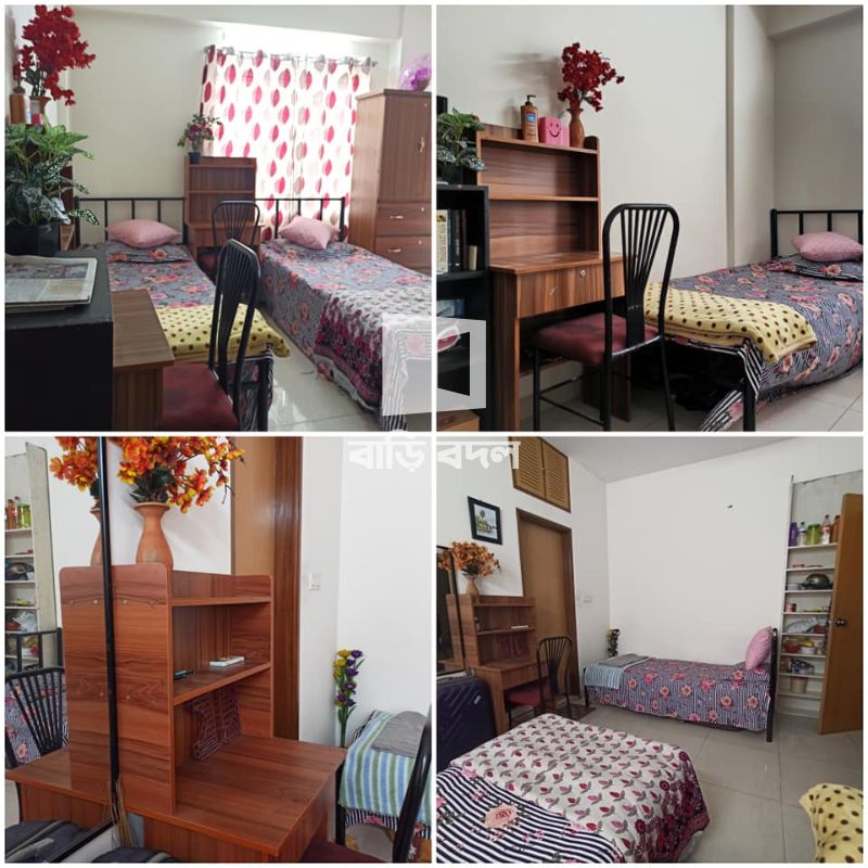Seat rent in Dhaka শ্যামলী, Dream House BD শ্যামলী