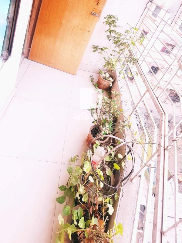 Flat rent in Dhaka মোহাম্মদপুর, Mohammadia Housing Limited, Road: 02, Mohammadpur