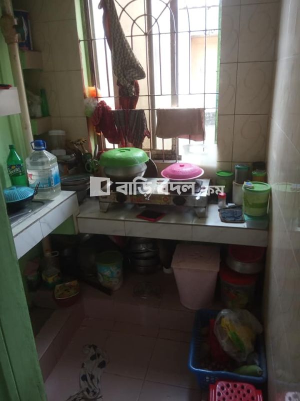 Flat rent in Dhaka মোহাম্মদপুর, মোহাম্মদী হাউজিং সোসাইটি, রোড নং ৮/বি, হাউজ নং-১০, মোহাম্মদপুর, ঢাকা