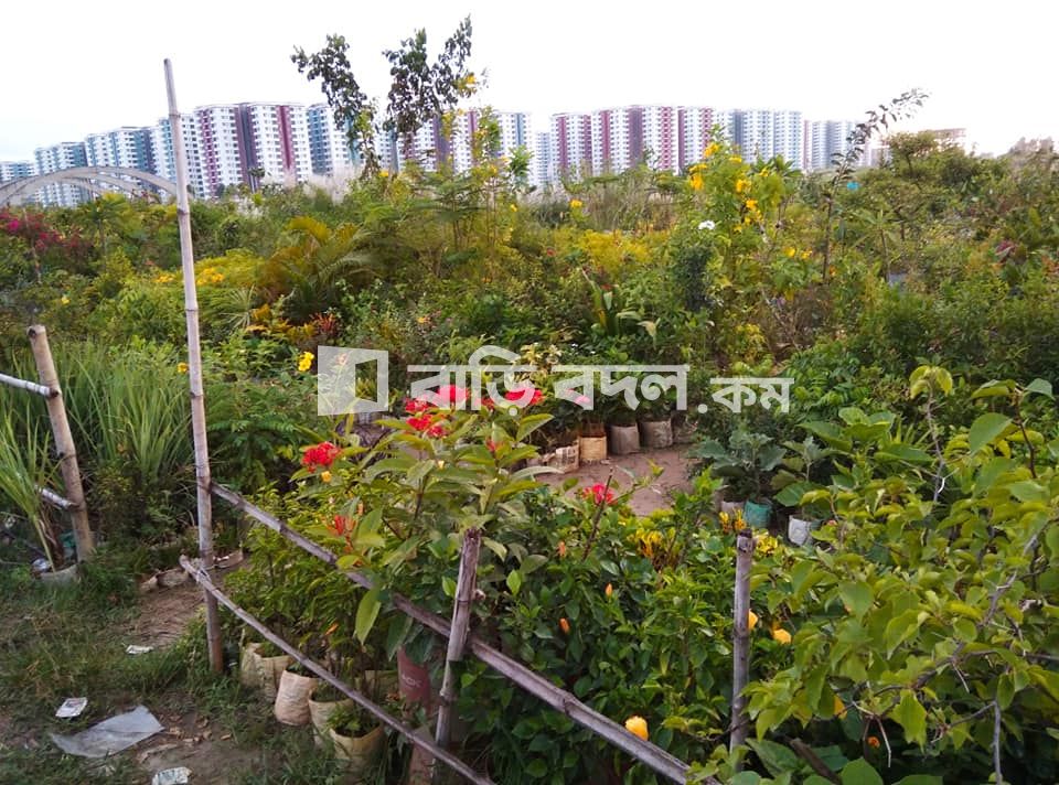 Flat rent in Dhaka উত্তরা, RAJUK Uttara Apartment Project
Sector 18, Diabari, Uttara.