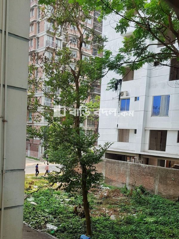 Flat rent in Dhaka বসুন্ধরা আবাসিক এলাকা, Block D road 10 ( 5/6 min walking distance from NSU,IUB , Apollo gate )