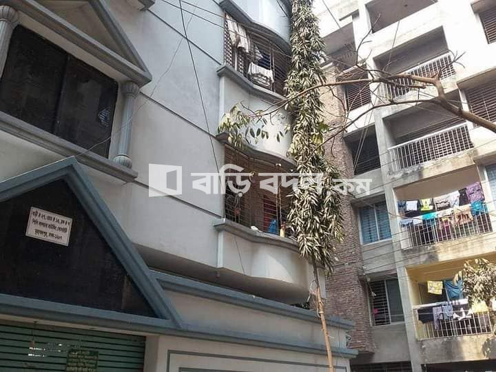 Flat rent in Dhaka মোহাম্মদপুর, রোড ১৩, বাড়ি ২৭ মোহাম্মদপুর,শেখেরটেক।
