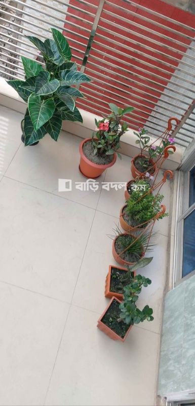 Sublet rent in 5 mnt walking distance from IUB /NSU | 1 bed(s) | Bashundhara RA | Baribodol.com, Best property rental platform in Bangladesh