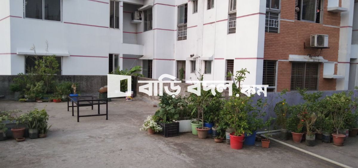 Flat rent in Dhaka কলাবাগান, ৬০ডলফিন গলি,কলাবাগান