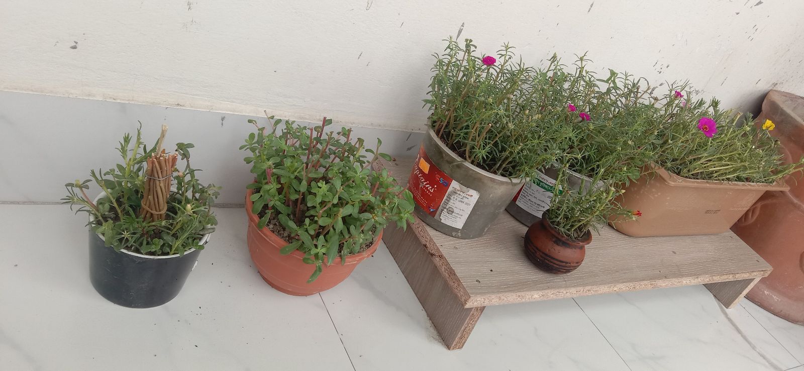 Sublet rent in Mirpur 6 | 1 bed(s) | Baribodol.com